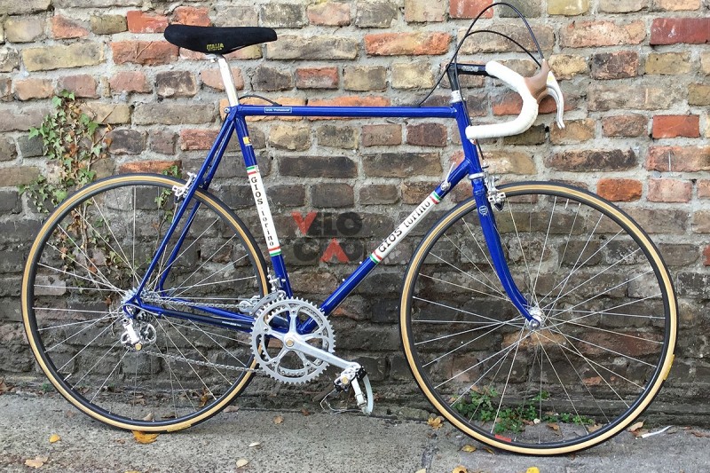 campagnolo frame